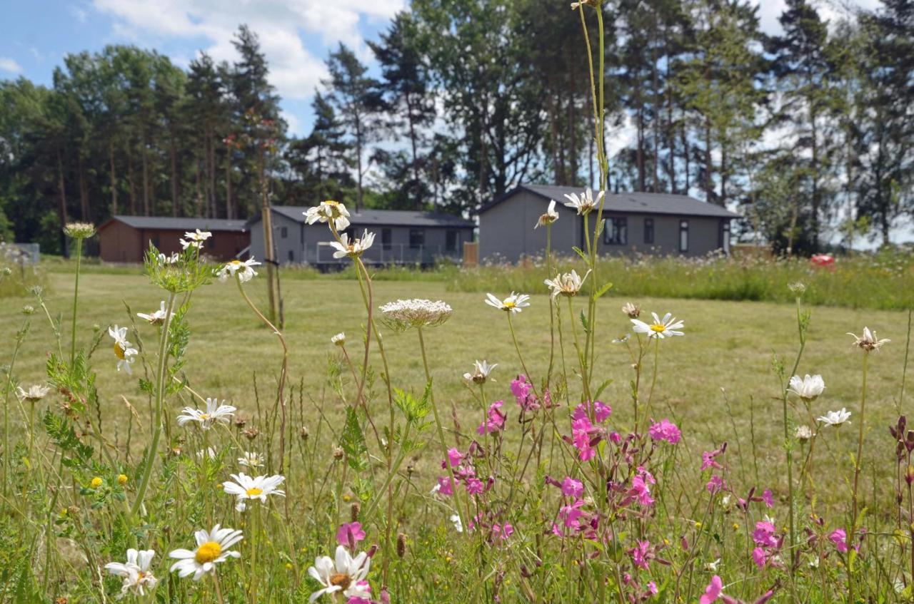 Hollicarrs - Sunflower Lodge ヨーク エクステリア 写真