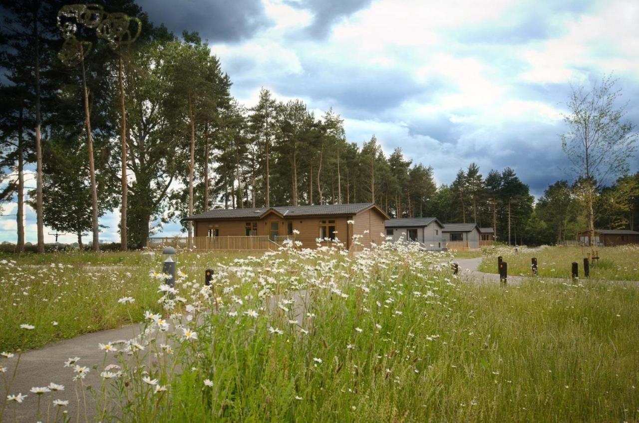 Hollicarrs - Sunflower Lodge ヨーク エクステリア 写真